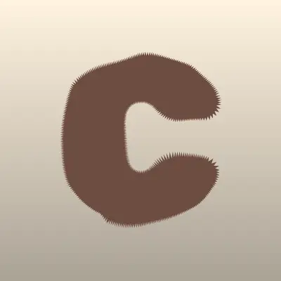 Частный судебный исполнитель Кабдолов Н. Б.