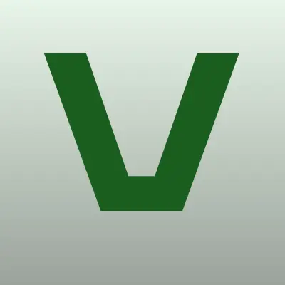 Vizavi